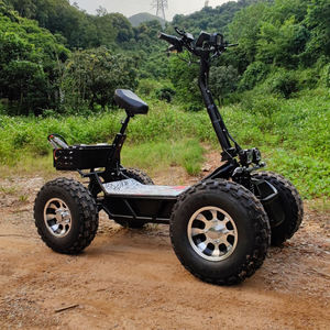 สกู๊ตเตอร์ไฟฟ้า 10000 วัตต์ 60 โวลต์ ขับเคลื่อน 4 ล้อ สำหรับแข่งขัน ลากจูงในป่า ขับเคลื่อนบนพื้นที่ขรุขระ ลุยหิมะ พร้อมยางลม  ขาย - Product Image 3