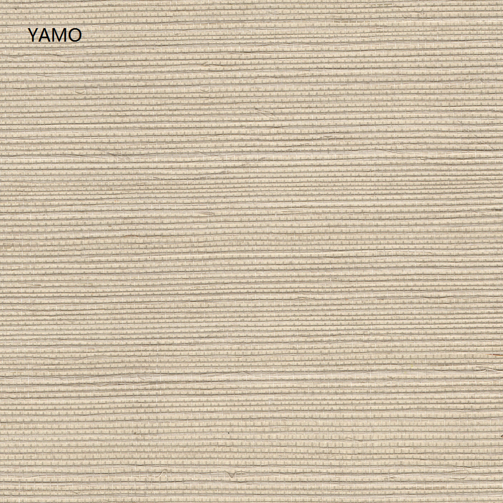 Y5-H03