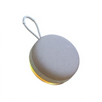 Haut-parleur portable en forme de disque étanche, anti-poussière et résistant aux chutes, avec basses puissantes, fente pour carte, RGB, batterie 1000-2000 mAh