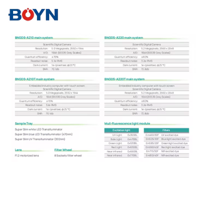 BNGDS-A210 BNGDS-A220自动凝胶成像分析系统PCR文档实验室凝胶文件成像系统 - Product Image 6