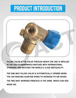 Válvula de Cilindro GNV para Tanque GNC, Rosca 25E, Válvula de Cilindro CTF-1, Accesorios para Cilindros de Gas para Sistema de Conversión de Petróleo a Gas