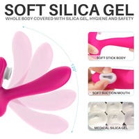 Deluxe Fernbedienungs-Saugvibrator für Frauen G-Punkt Klitoris-Stimulation Weibliche Masturbation Flirt-Sexspielzeug für Erwachsene Massagegerät