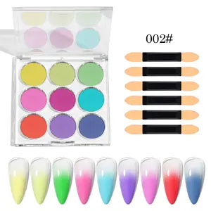 Gradients Effect 9 Colours Solid Magic Mirror Acrylic Powder Explosive Flash Pigments Aurora Powder Set With Tool