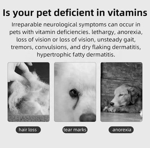 Vendita diretta in fabbrica 200 compresse di vitamina per cani gatti integratore di animali domestici nutrizione assistenza sanitaria multivitaminica compresse