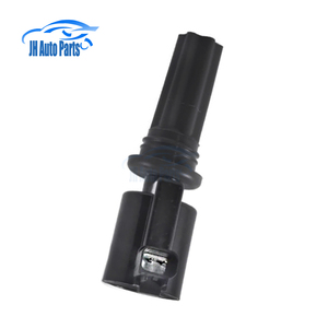 Paquetes de bobinas de encendido para <span class=keywords><strong>JAGUAR</strong></span> <span class=keywords><strong>S</strong></span>-<span class=keywords><strong>Type</strong></span> XJ X-<span class=keywords><strong>Type</strong></span> LINCOLN LS 2,5 3,0 <span class=keywords><strong>V6</strong></span> DG528 DG517 C2S42751 XR814052 2W4Z-12029-AB 1W4Z-12029-AA - Product Image 3