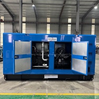 Générateur diesel Weichai 250 kW super silencieux, 80 kW, 100 kW, 160 kW, 50/60 Hz, Cum-mins, fabricant de qualité supérieure, vente chaude
