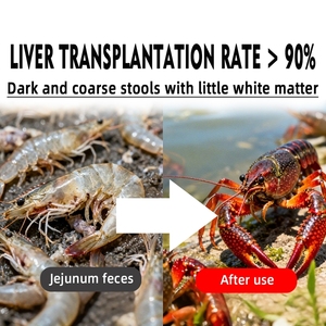 Ченьюань Гантай для креветочных ферм: оптимизация кормления, повышение выживаемости - Product Image 6