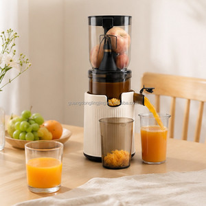 <span class=keywords><strong>Estrattore</strong></span> di <span class=keywords><strong>Succo</strong></span> Elettrico Domestico a Spremitura Lenta, <span class=keywords><strong>Facile</strong></span> da Pulire, per Frutta e Verdura, OEM - Product Image 1