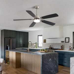 Ventilateur de plafond LED DB 52 pouces, 5 pales, moteur DC, télécommande, utilisation extérieure - Product Image 4