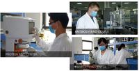 Grappe soluble de souris de kit de la différenciation 14(sCD14)ELISA