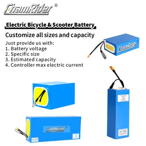 Batterie de scooter électrique 18650 Ebike 36v 48v 52v 60v 72v 10ah 20ah 30ah 40ah 21700 batterie pour vélo électrique