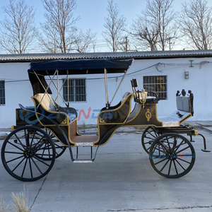 Hot Sale European Royal Electric Special Transportation for Tourism the Black Electric Horse Carriage Two <b>Rows</b> - Product Image 6