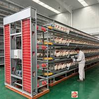 Système d'élevage avicole intelligent et économe en énergie avec cages d'ingénierie pour poules pondeuses, pour l'exportation d'œufs