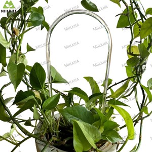 شبكة شفافة على شكل حرف U لدعم النباتات شبكة نباتات من الأكريليك الشفاف للنباتات المتسلقة - Product Image 2