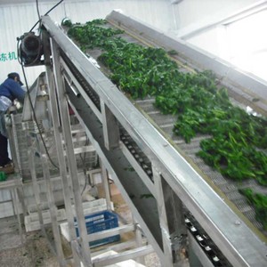 Compre a granel Exportación Precios de mercado Verduras Bloque entero Bola de espinacas congeladas - Product Image 6