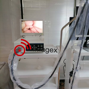 Ветеринарная эндоскопия гибкий ветеринарный эндоскоп для обследования желудочно-кишечного тракта лошади - Product Image 3