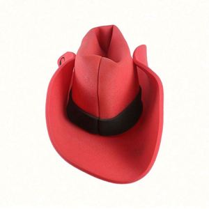 Promotion <b>Cheap</b> <b>Foam</b> Cowboy Hat Wholesale - Product Image 5