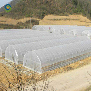 Invernadero de Túnel Agrícola a Buen Precio para Cultivo de Hongos - Product Image 6