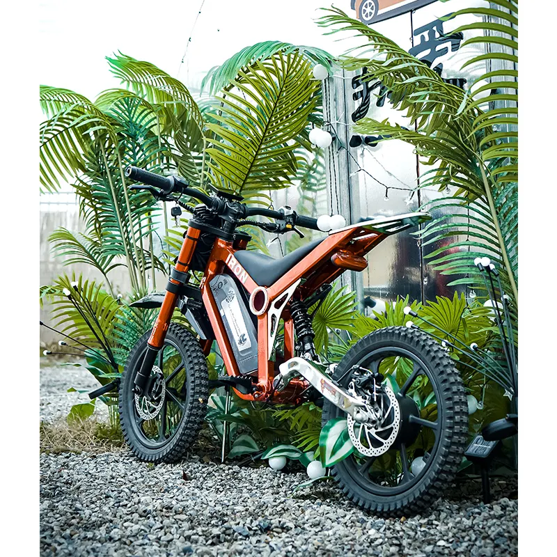 New Design Child Lithium Battery Full Suspension Retro Dirt Mountain Ebike Powerful Fat Tire Electric Bike