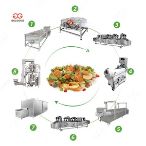 Vegetable Frozen Processing Equipment Green Peas Sweet Corn and Baby Carrots Freezing Machine