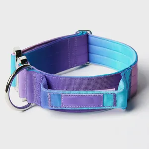 Close Control Anti-Strangulation Dog Training Collar 2" Wide Alloy Buckle Dog Collar For Large Dog Tie Dye Gradient Colour