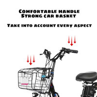 Bicicleta Eléctrica Todoterreno de 16 Pulgadas para Playa y Nieve, con Llantas Grandes, Bicicleta Eléctrica de Carga con Batería de Litio