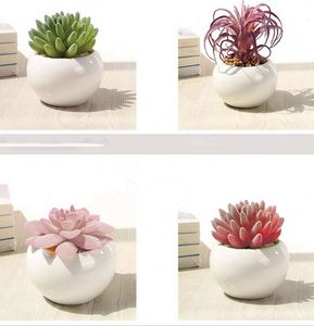 Mini Suculentas Artificiales de Alta Calidad, Simples, de PVC, Portátiles, para Decoración, Pequeñas Plantas en Maceta, Regalos Promocionales de Negocios - Product Image 4