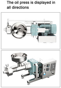 Prensa de aceite en frío utilizada para extraer aceite de coco/Aceite de Oliva/aceite de aguacate - Product Image 6