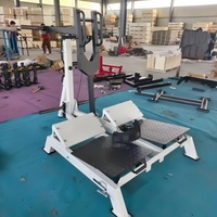 Machine de Squat à Ceinture pour Musculation et Fitness – Entraînement de Force des Jambes, Fessiers, Cuisses, Bras et Poitrine – Couleur Personnalisable