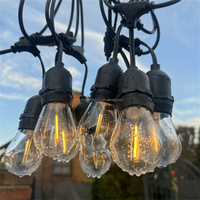 Guirlandes lumineuses LED S14 extérieures de 10 mètres (48 pieds), indice de protection IP65, résistantes à l'eau, pour l'éclairage de la cour, de Noël et des fêtes de mariage