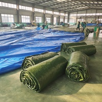 Bâche en poly imperméable TERPAULIN VERT FONCÉ avec trous pour les yeux 10x16 mètres Bâche