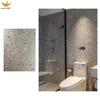 Panneaux muraux contemporains en SPC à emboîtement - Étanches, ignifuges, écologiques, couleurs personnalisées, pour usage professionnel - Design intérieur direct