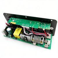 300W BT 5.0 carte amplificateur Audio D300 double Microphone Subwoofer Module amplificateur DC12V 24V 1CH HIFI amplificateur de puissance stéréo