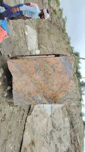 Dalle de quartzite rose Patagonia polie, grande dalle, pierre naturelle 357x163x192mm - Product Image 3