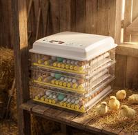 Incubateur à œufs automatique de haute qualité 158/168/176 œufs pour poulet/canard/caille/dinde, taux d'éclosion élevé, 220V, neuf
