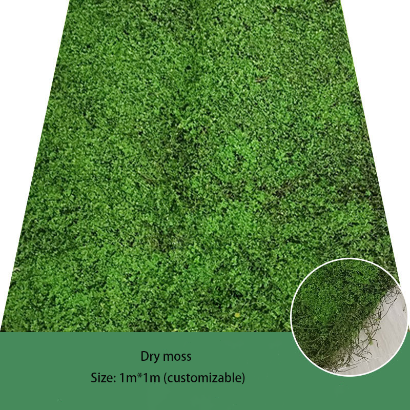 Mousse sèche (1m * 1m)