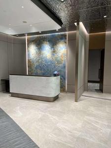 <span class=keywords><strong>Dalle</strong></span> de marbre gris naturel moderne, pierre de marbre gris clair pour murs, sols, comptoirs, projets hôteliers et décoration - Product Image 6