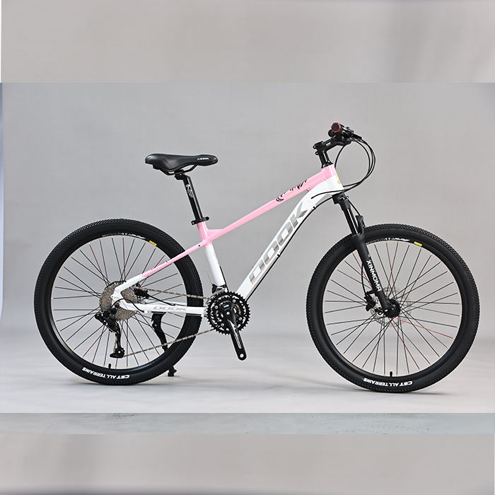 Alibaba 24 Inch Bike Chain China Factory Cycles For Men 24 26 29