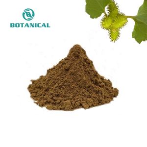 Venda quente 10:1 fructus xanthii berian cocklebur fruta extrato pó - Product Image 2