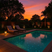 Kit d'éclairage d'étoiles pour piscine à fibres optiques RGB personnalisables, éclairage étoilé pour piscine, source LED en acier inoxydable PMMA