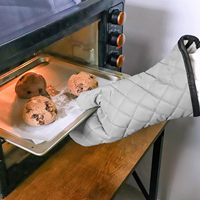 Design personnalisé de mitaines de four en polyester épaississant résistant à la chaleur avec doublure en coton respirant Cuisson et gril allant au micro-ondes
