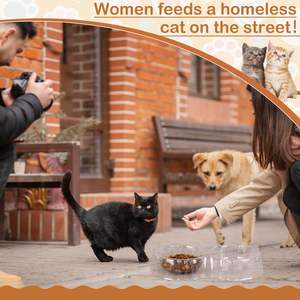 Bol de nourriture jetable réutilisable et facile à nettoyer pour animaux de compagnie et chats Conteneur de nourriture <span class=keywords><strong>anti</strong></span>-<span class=keywords><strong>fourmi</strong></span> pour les voyages en plein air - Product Image 5