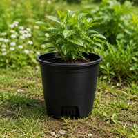 Fabriqué en Chine, petits pots de fleurs noirs mignons et luxueux, décoratifs, pour la nurserie, en plastique PP avec trous de drainage, pour l'extérieur