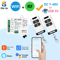 Interrupteur intelligent WiFi RF 2 canaux Tuya Alexa Google DC 7-48V USB 5V 10A Relais à contact sec pour porte de garage Vente en gros