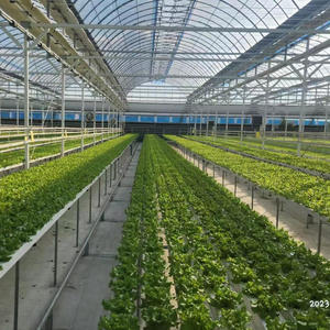 Banc roulant NFT mobile pour serre, gain de place - Product Image 6