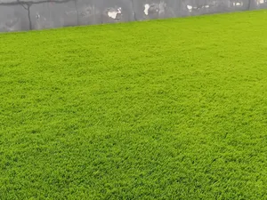 Césped Artificial Sintético para Exteriores, Césped Verde Realista para Decoración de Jardín - Product Image 4