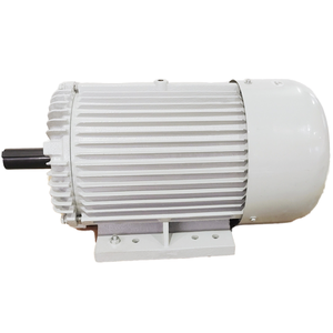 มอเตอร์ไฟฟ้ากระแสสลับสามเฟส 6 โพล 230-460/796V 1200 รอบต่อนาที 100 แรงม้า 60 เฮิรตซ์ IP55 TEFC ลวดทองแดง 100% - Product Image 1