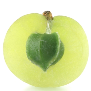 Aceite Portador de Amla Orgánico Prensado en Frío de la India - Product Image 5