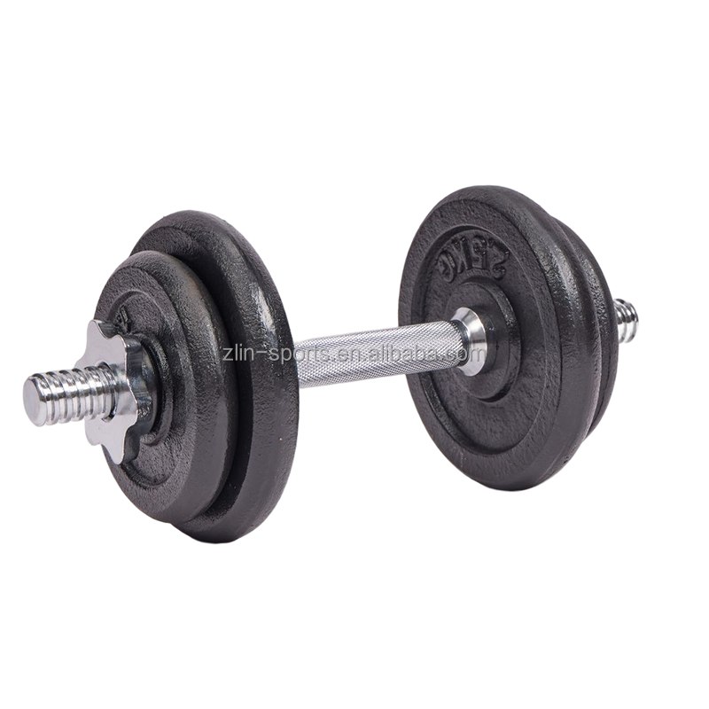 YORK 2×5kg Disques De Fonte Musculation – Poids Standards Pour Fitness Et Powerlift (Lot De 2, 10kg)