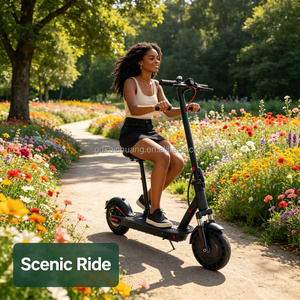 Vélo Électrique Pliant Mini à Deux <span class=keywords><strong>Roues</strong></span> Rush Hour Escape Lithium avec Siège Portable pour Adulte Homme Femme – Idéal pour Éviter les Embouteillonnages et les Trajets Quotidien - Product Image 4